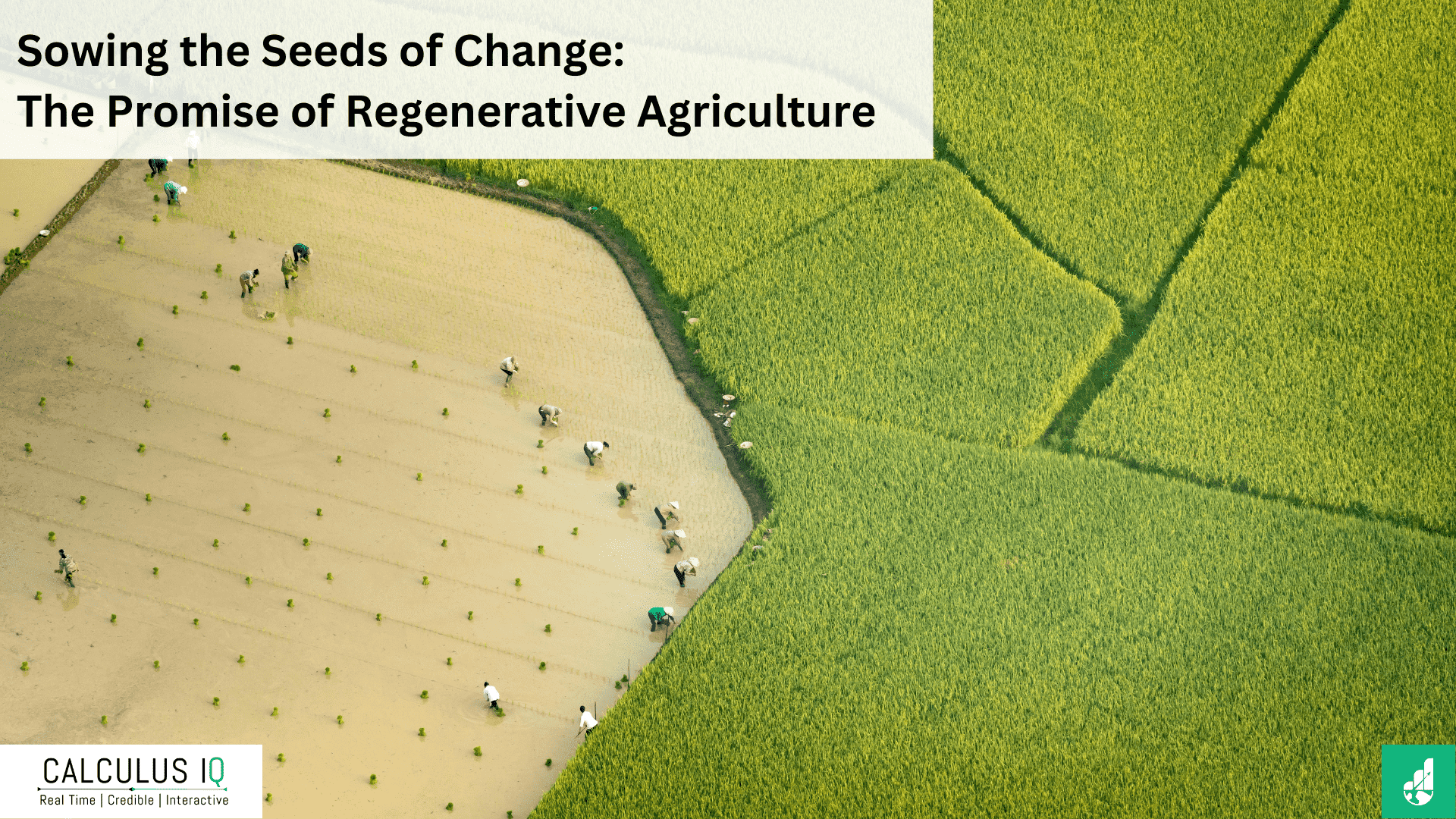 Sowing the Seeds of Change: The Promise of Regenerative Agriculture