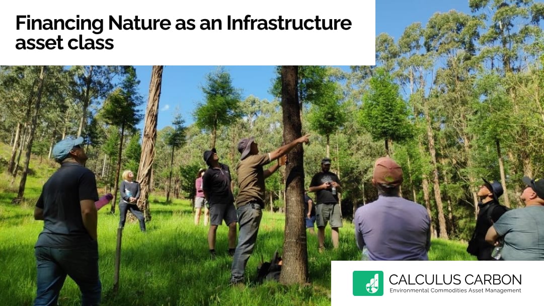 Financing Nature as an Infrastructure Asset Class