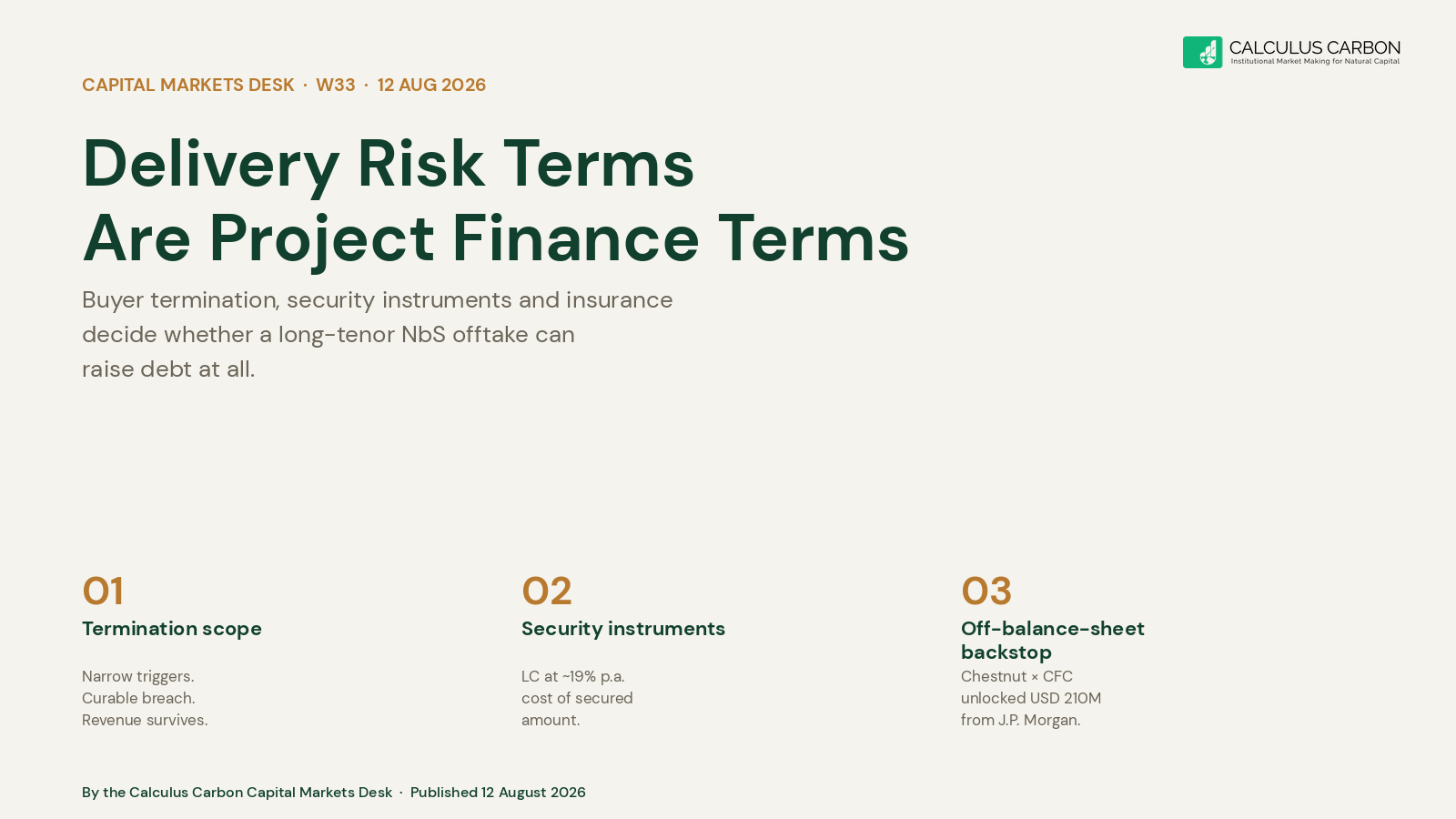 Cover card for the thesis, cream background with forest text, headline reads Delivery Risk Terms Are Project Finance Terms.