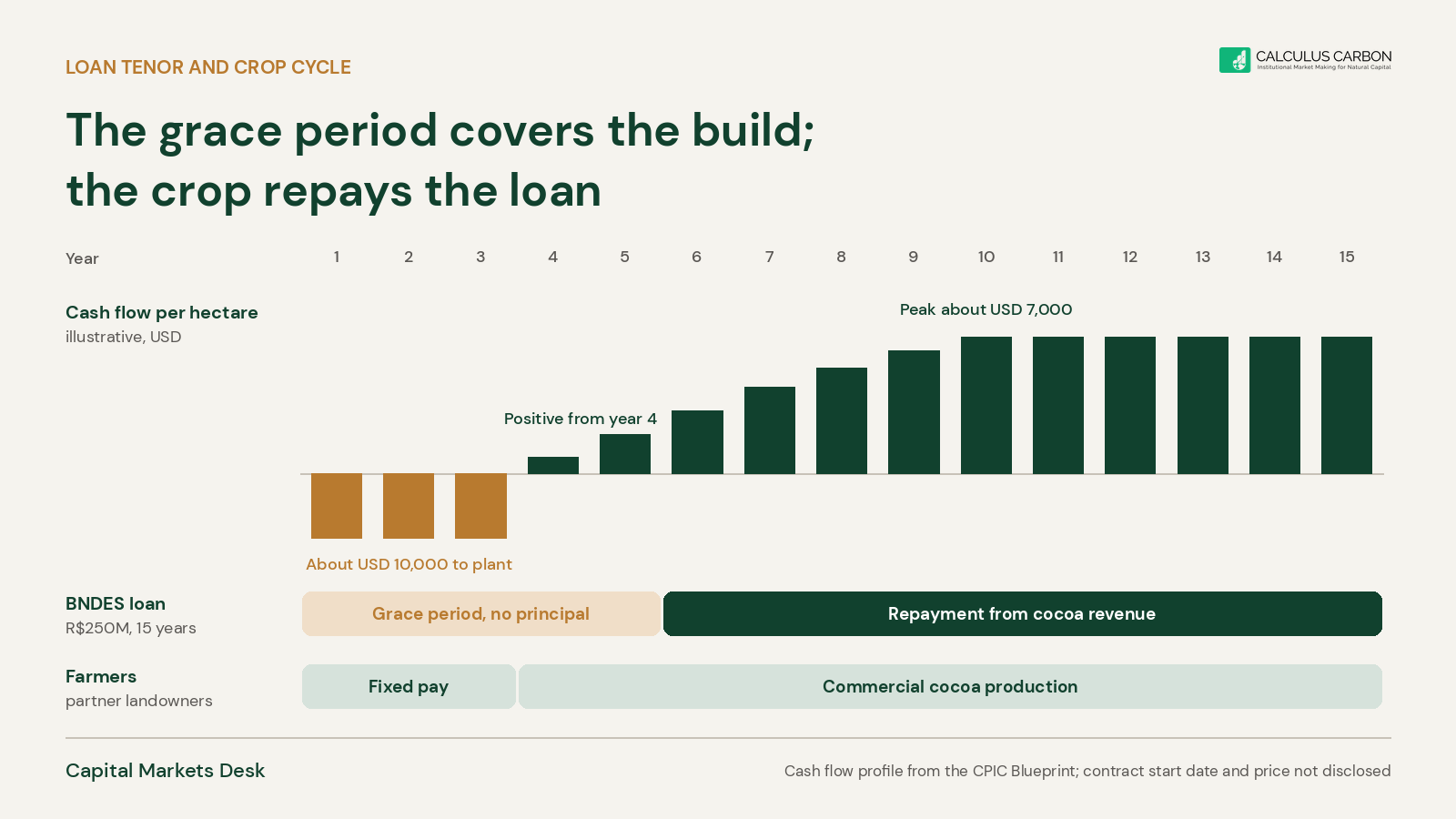 Timeline of Belterra's agroforestry model: three years of upfront spending and fixed farmer payments, cocoa cash flow from year four, and a 15-year BNDES loan whose five-year grace period covers the build.