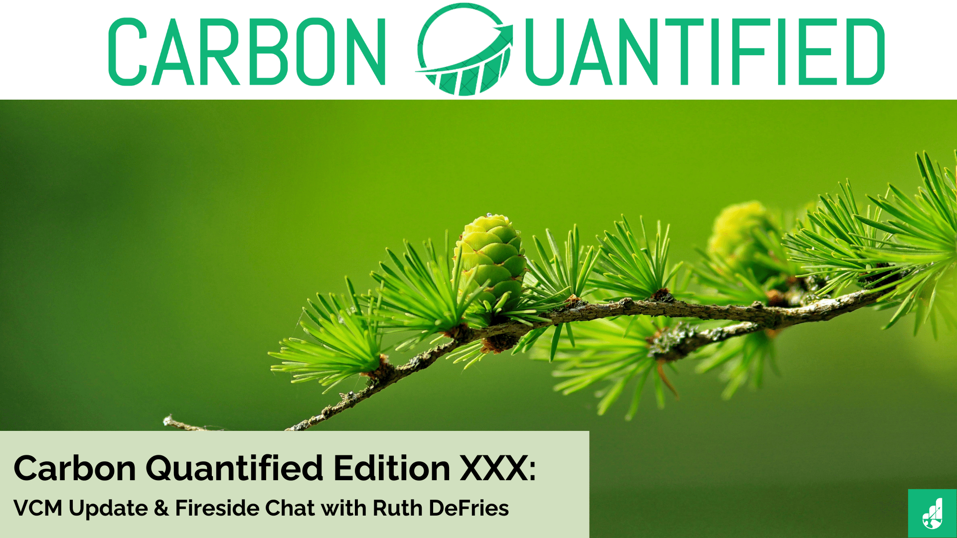 Carbon Quantified Edition XXX: VCM Update & Fireside Chat with Ruth DeFries
