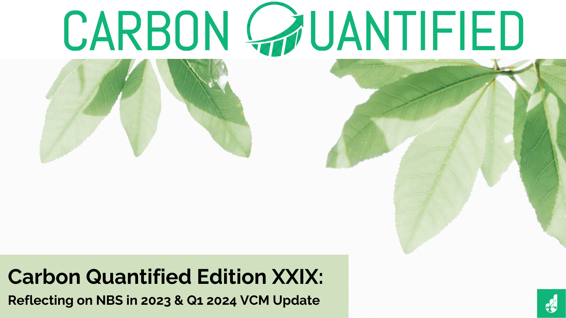 Carbon Quantified Edition XXIX: Reflecting on NBS in 2023 & Q1 2024 VCM Update