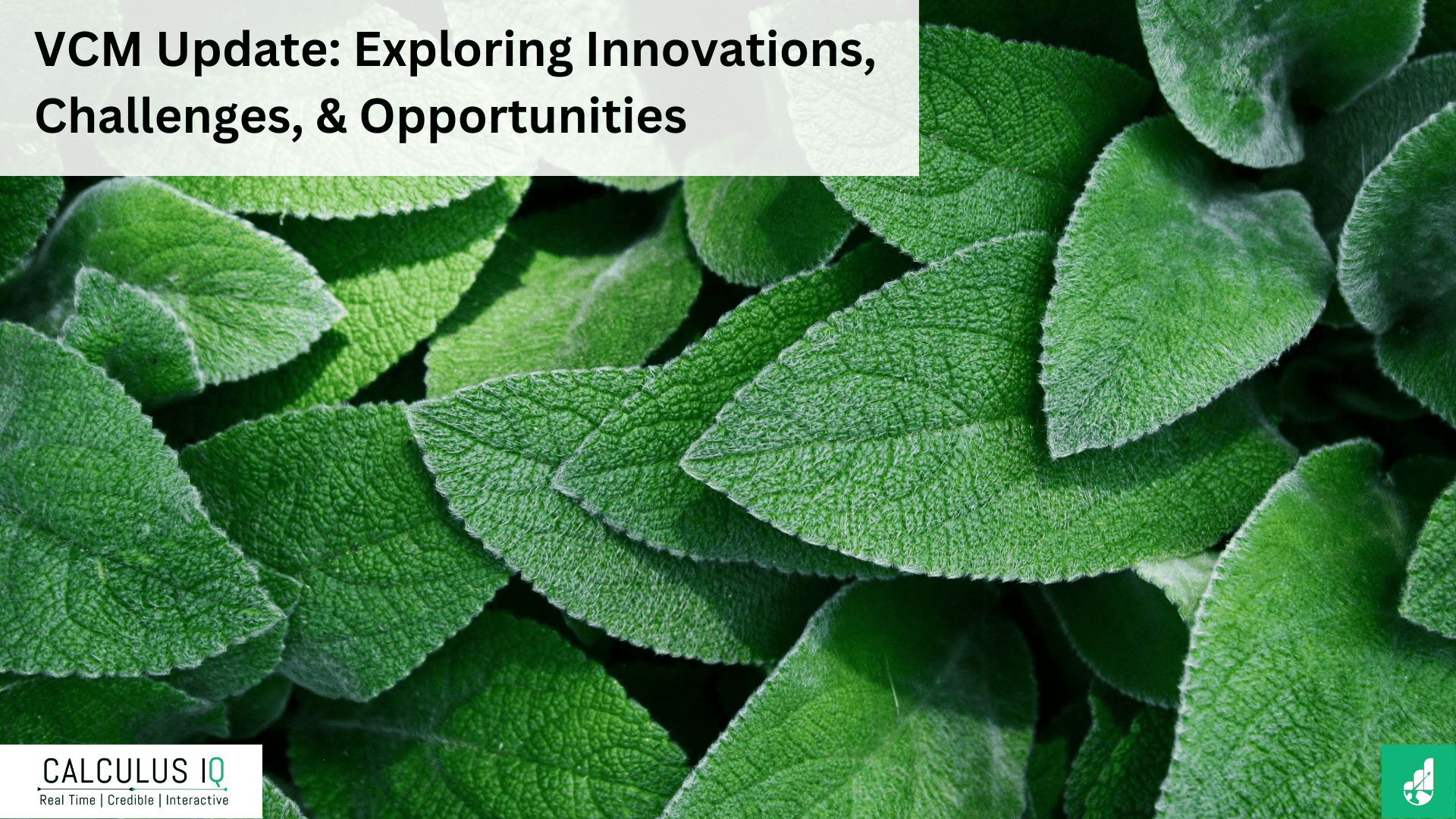 VCM Update: Exploring Innovations, Challenges, & Opportunities