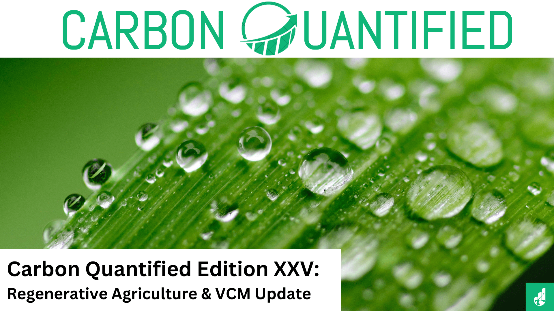 Carbon Quantified Edition XXV: Regenerative Agriculture & VCM Update