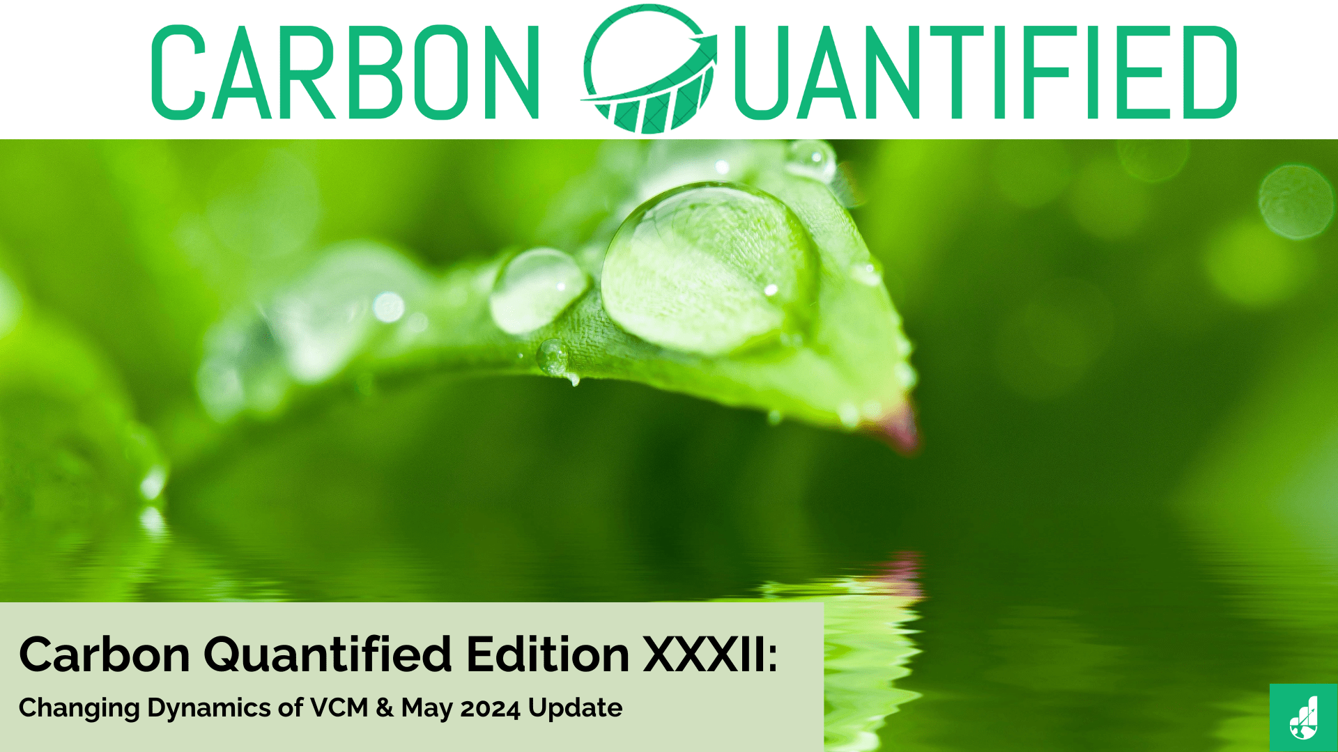 Carbon Quantified Edition XXXII: Changing Dynamics of VCM & May 2024 Update
