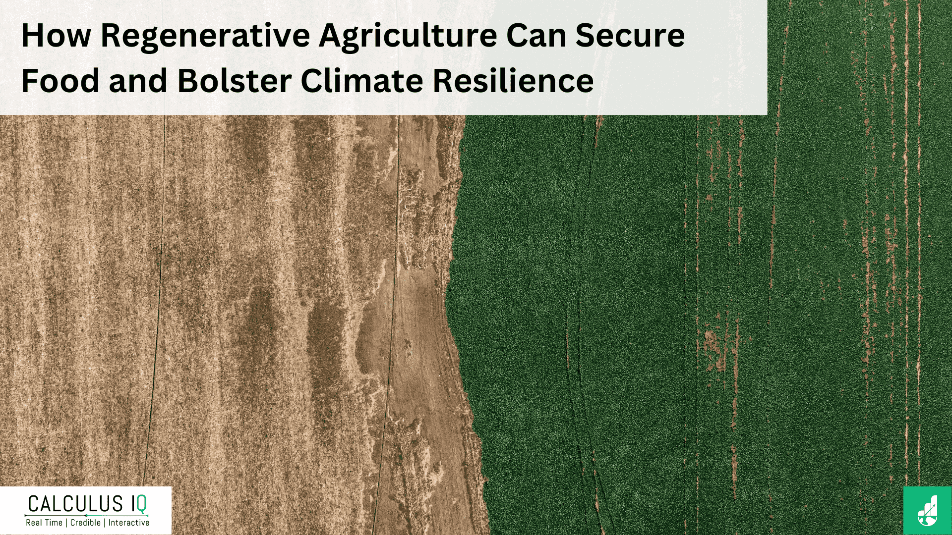 How Regenerative Agriculture Can Secure Food and Bolster Climate Resilience