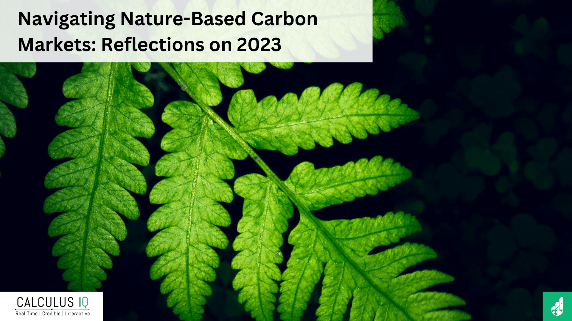 Navigating Nature-Based Carbon Markets: Reflections on 2023