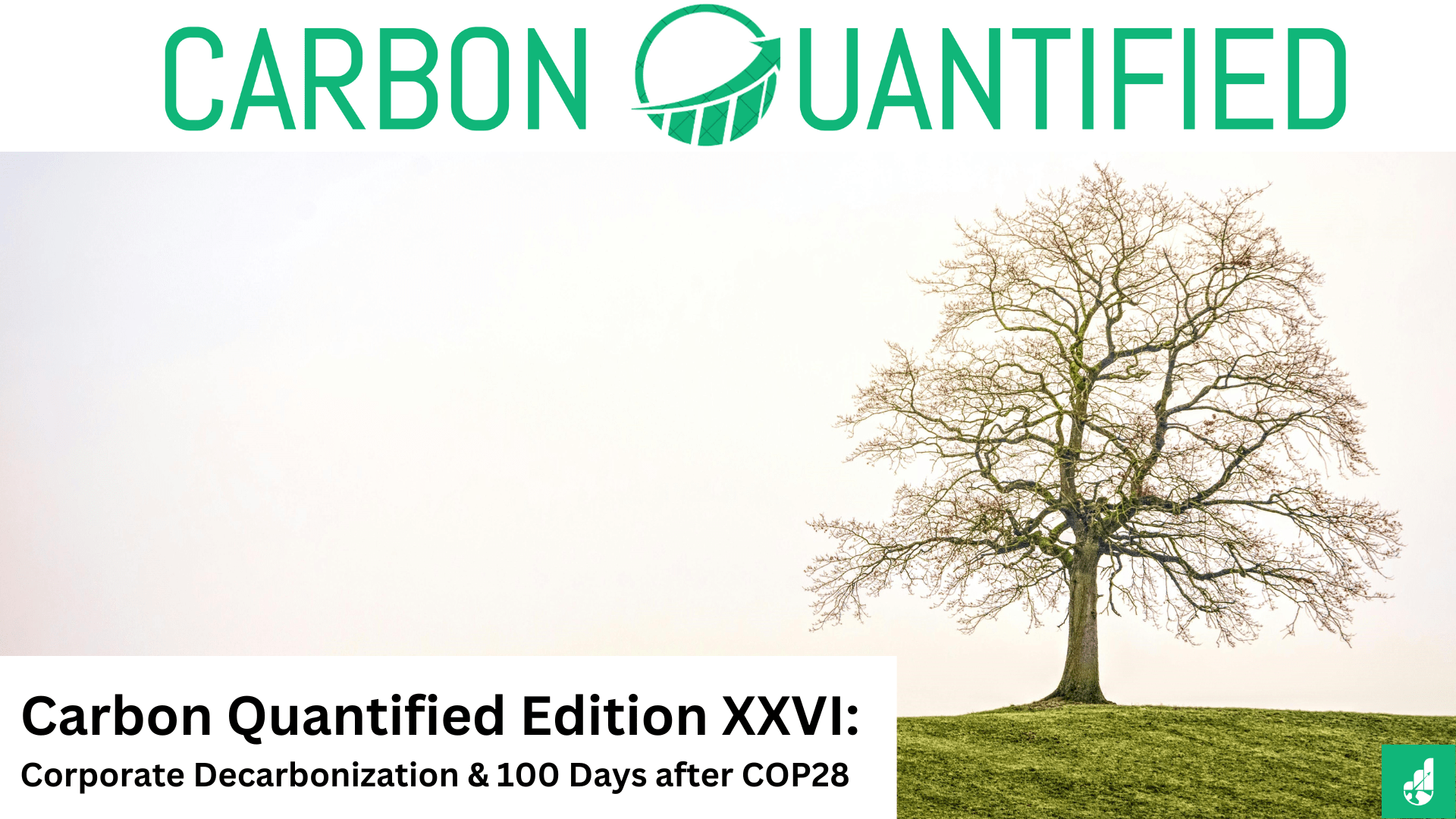 Carbon Quantified Edition XXVI: Corporate Decarbonization & 100 Days after COP28
