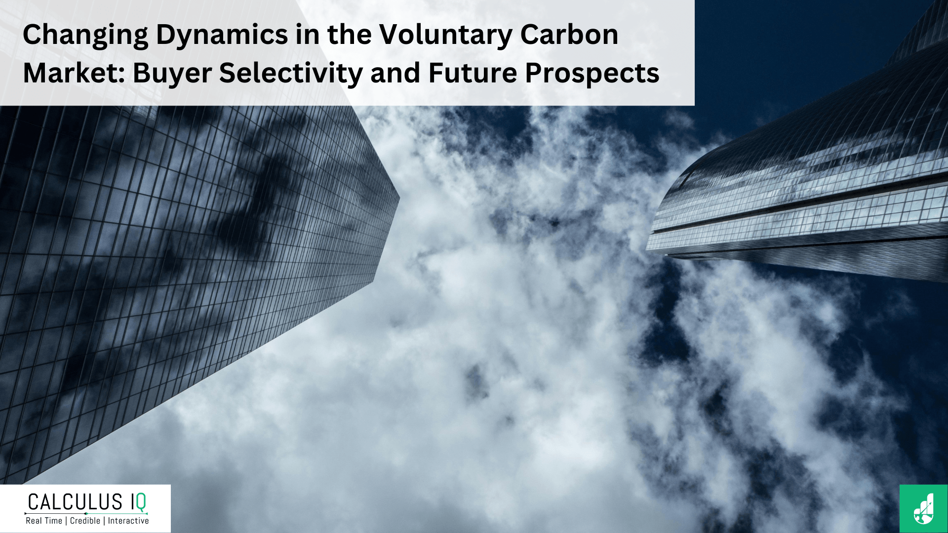 Changing Dynamics in the Voluntary Carbon Market: Buyer Selectivity and Future Prospects