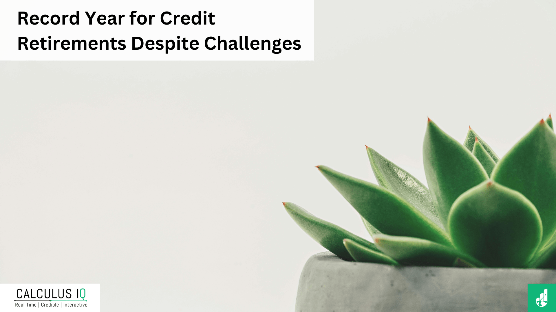 Record Year for Credit Retirements Despite Challenges