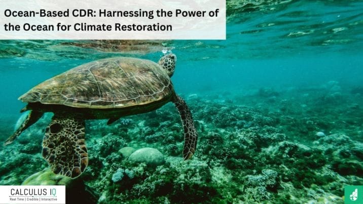 Ocean-Based CDR: Harnessing the Power of the Ocean for Climate Restoration
