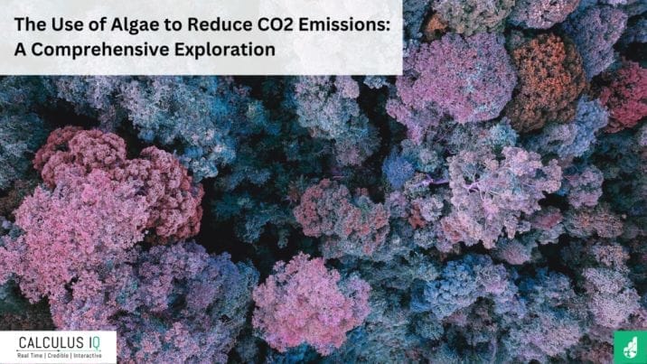 The Use of Algae to Reduce CO2 Emissions: A Comprehensive Exploration