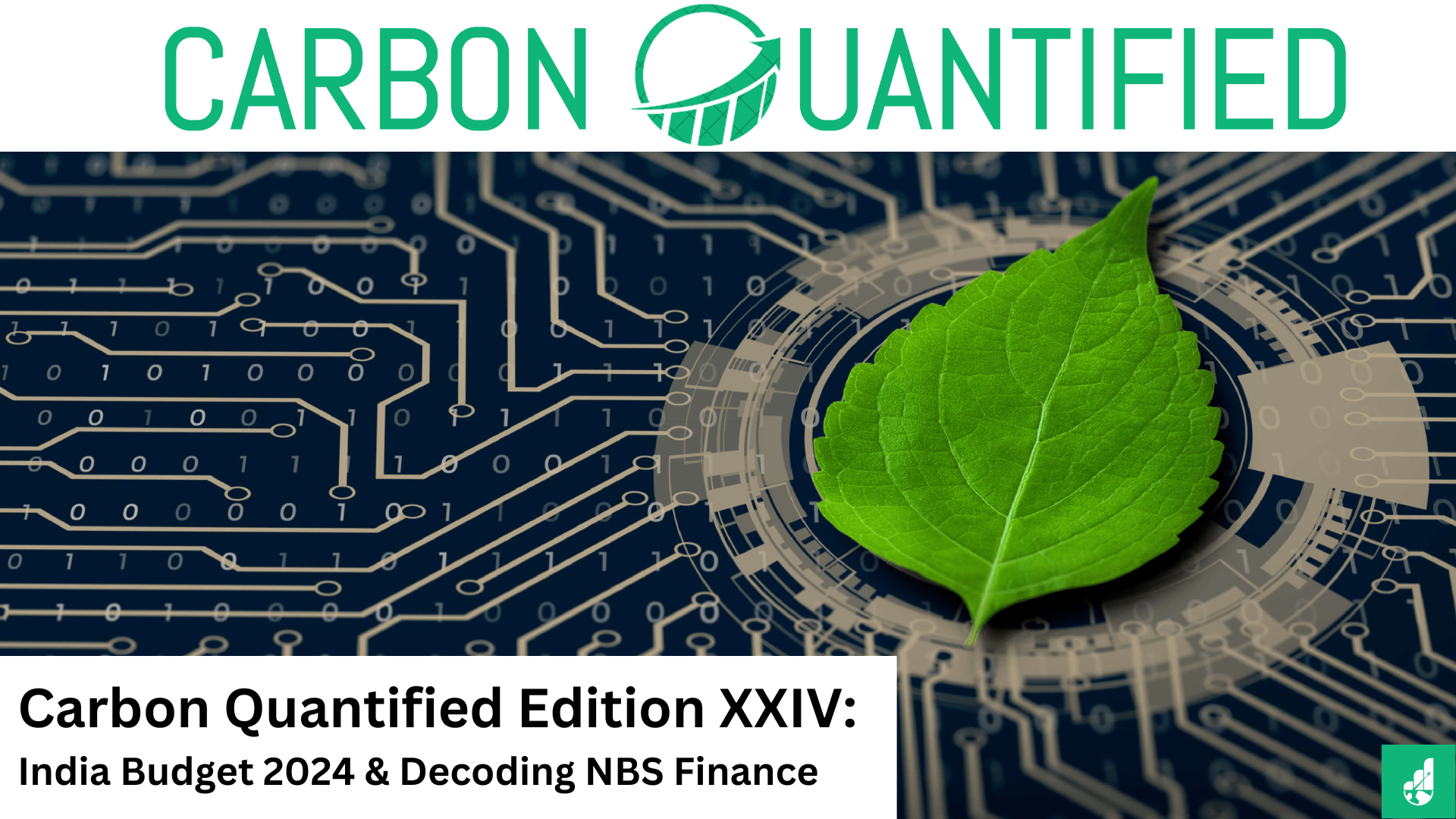 Carbon Quantified Edition XXIV: India Budget 2024 & Decoding NBS Finance