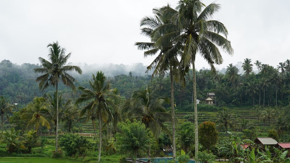 Opportunities of Indonesia in the Global Carbon Markets under Article 6