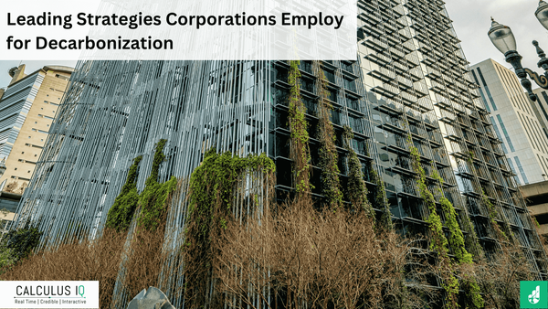 Leading Strategies Corporations Employ for Decarbonization