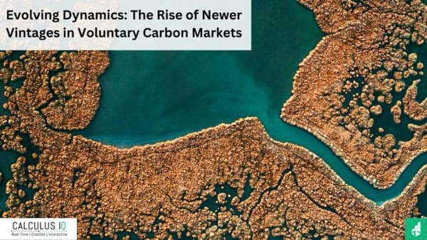 Evolving Dynamics: The Rise of Newer Vintages in Voluntary Carbon Markets