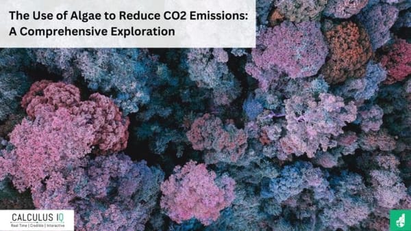 The Use of Algae to Reduce CO2 Emissions: A Comprehensive Exploration