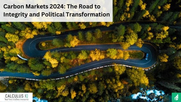 Carbon Markets 2024: The Road to Integrity and Political Transformation
