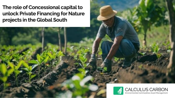 The Role of Concessional Capital to unlock Private Financing for Nature Projects in the Global South